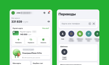 Paynet bank card image